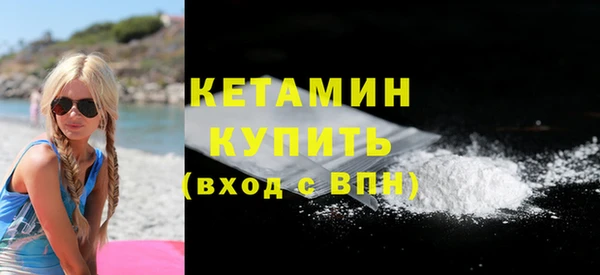 прущие грибы Ростов