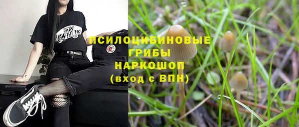 сатива Алексин