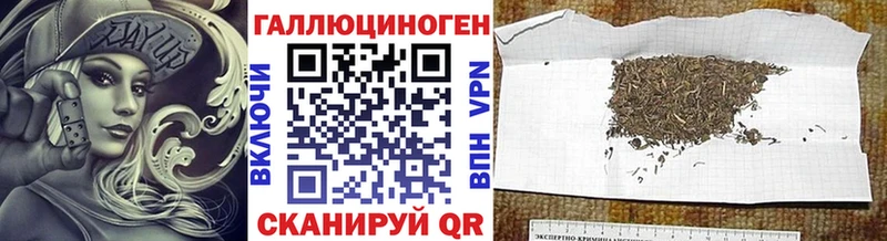 Галлюциногенные грибы MAGIC MUSHROOMS  купить наркотики сайты  сайты даркнета наркотические препараты  Каменск-Шахтинский 