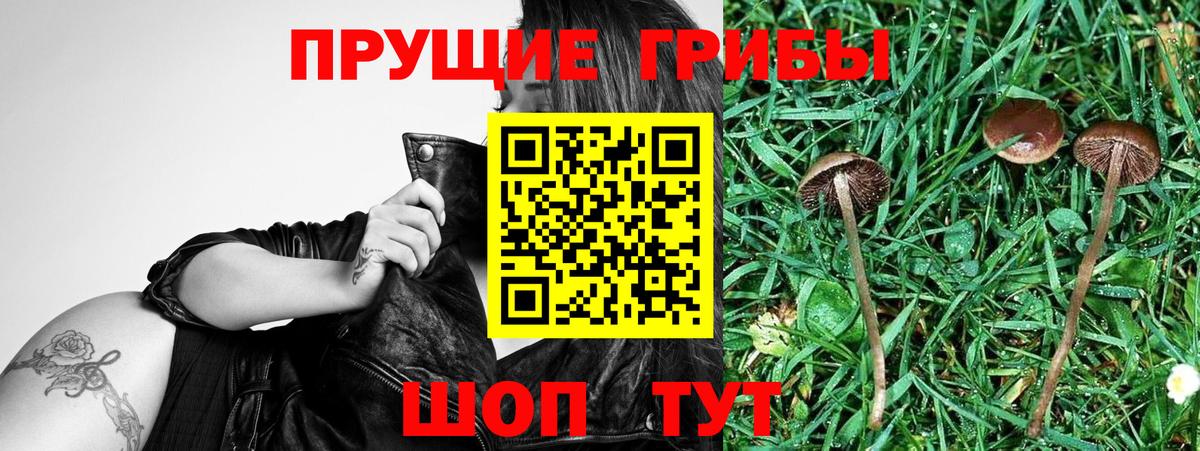 A-PVP Каменск-Шахтинский