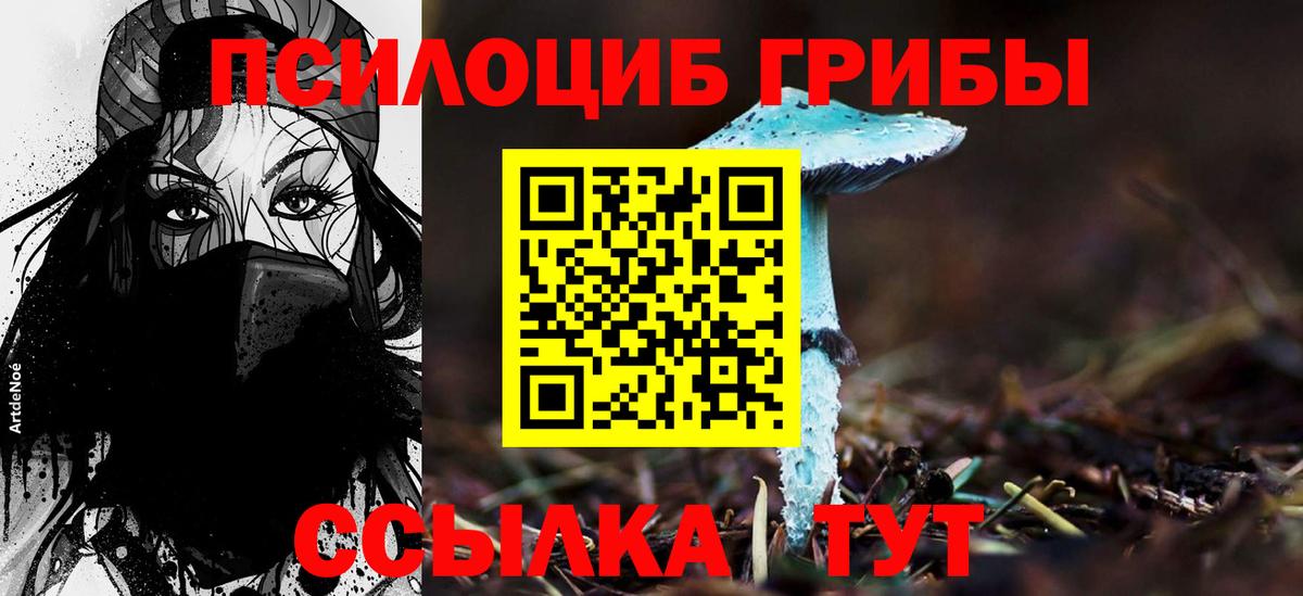 Галлюциногенные грибы Cubensis  Вход с VPN  Каменск-Шахтинский 